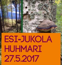 Esi-Jukola Huhmari 2017 Esi-Jukola Huhmari 2017